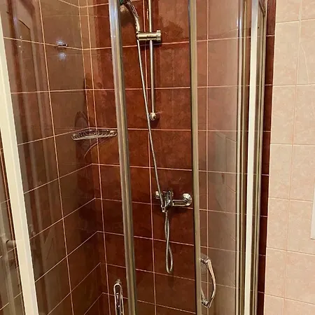 Mihaela Apartament *